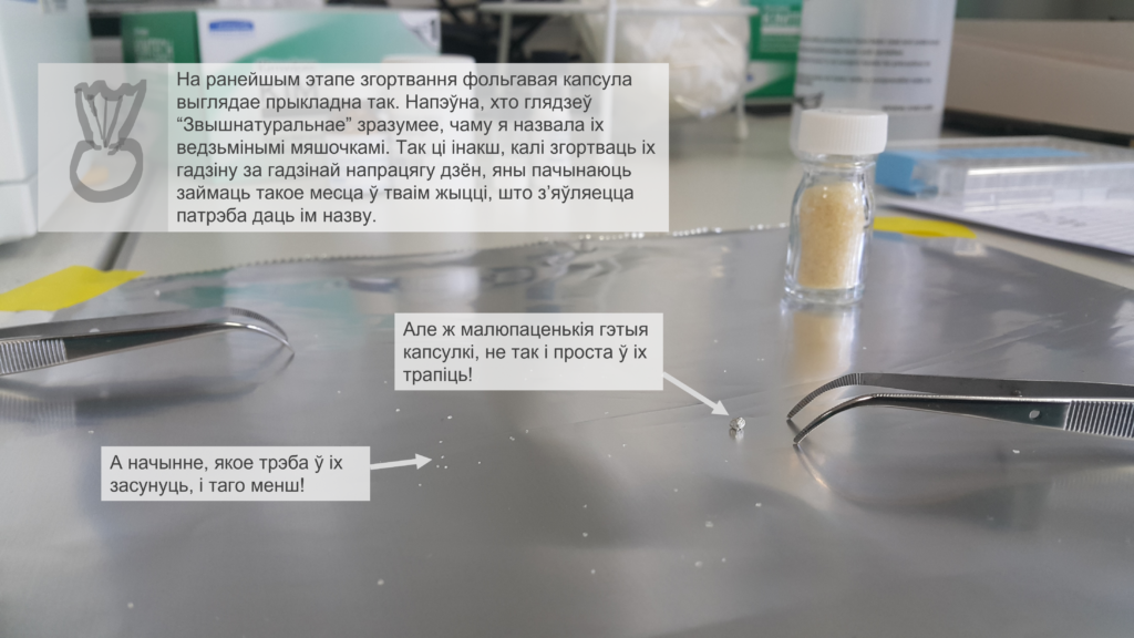 фольгавая капсула ў лабараторыі