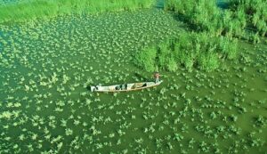 Балоты ў Іраку, Блізкі Усход