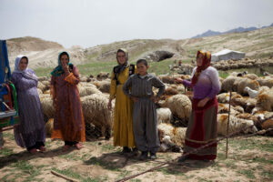 Лад жыцця качэўнікаў, Іран, Блізкі Усход